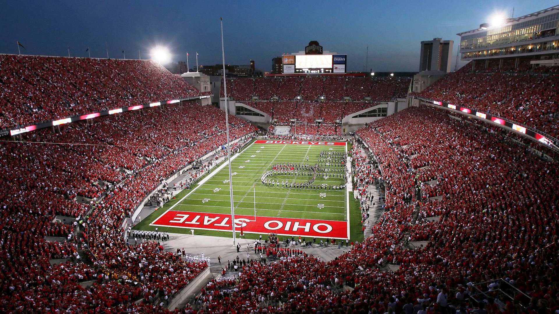 球迷对赛事关注度提升，热情高涨，球迷对球队和运动的重要性是什么