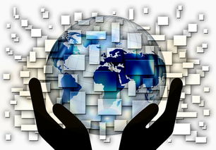 九游体育电竞-中超球队年度控场人数分布与效果评估，中超球队人数限制